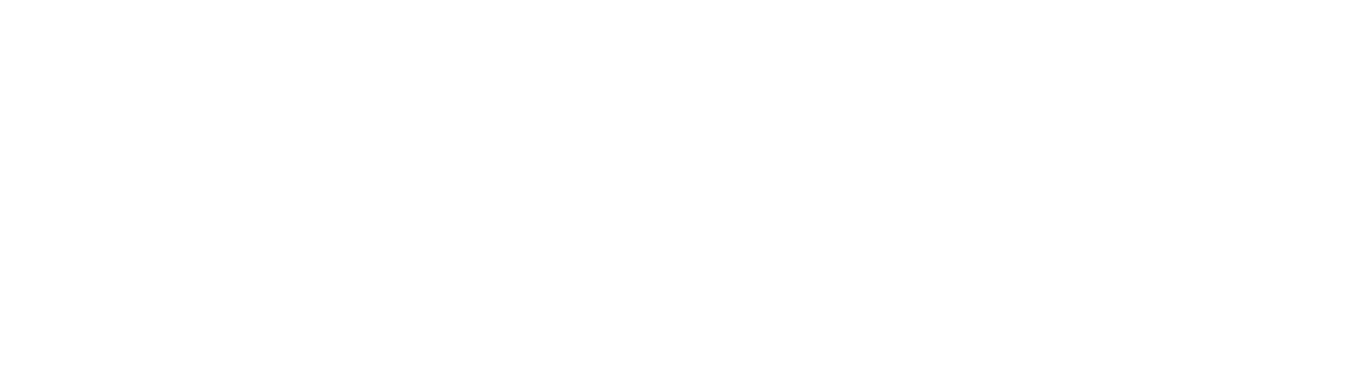 BlueBird Fence logo